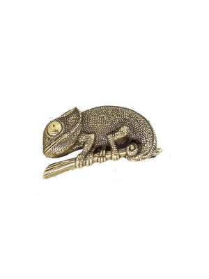 Hebilla de Camaleón